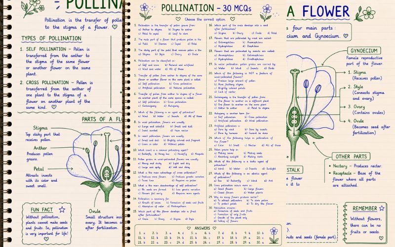 pollination